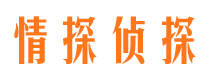 颍泉市调查公司